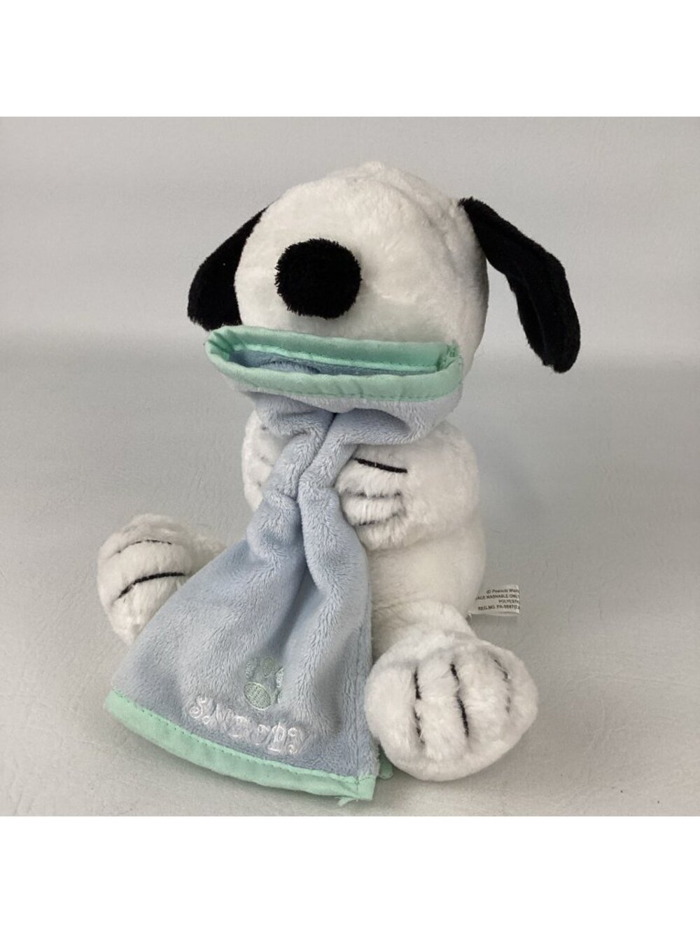 Peanuts Gang Cedar Point Souvenir Snoopy 10" Plush Stuffed Animal Lovey Dog